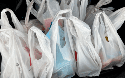Prepare for the Plastic Bag Ban