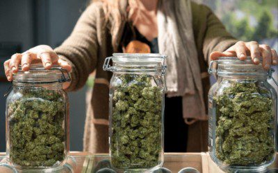 Additional Atlantic City weed businesses get CRDA OK