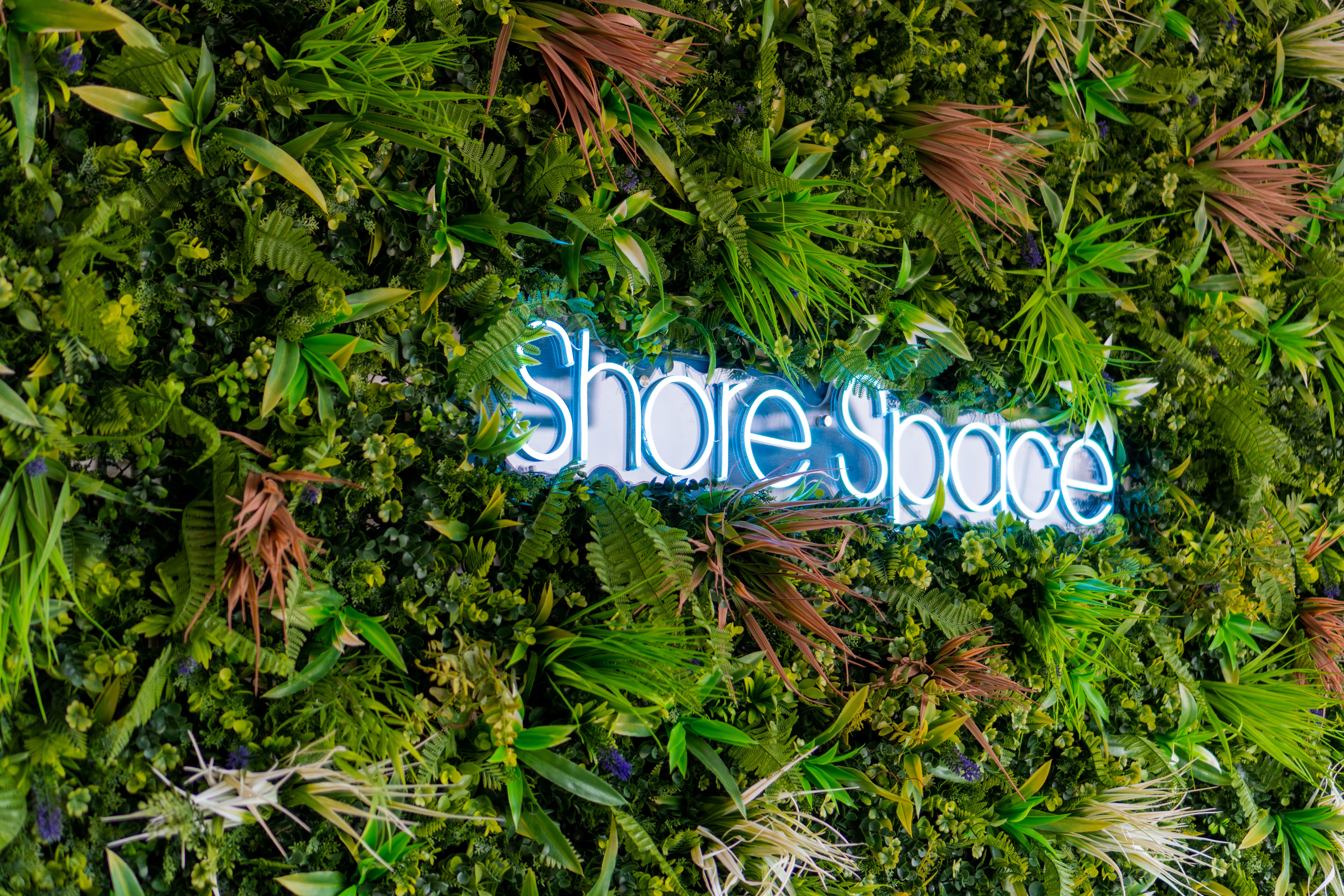 Member Spotlight: Shore Space Brigantine