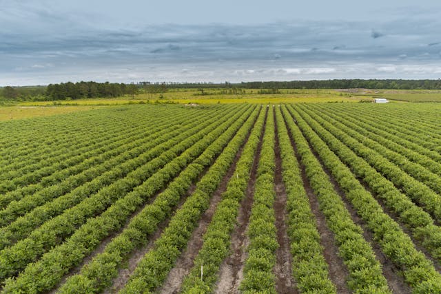 Supporting Farms and Fisheries