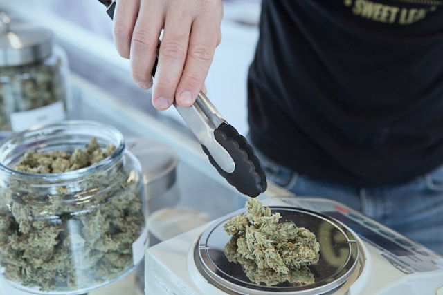 Managing Atlantic City Cannabis Market